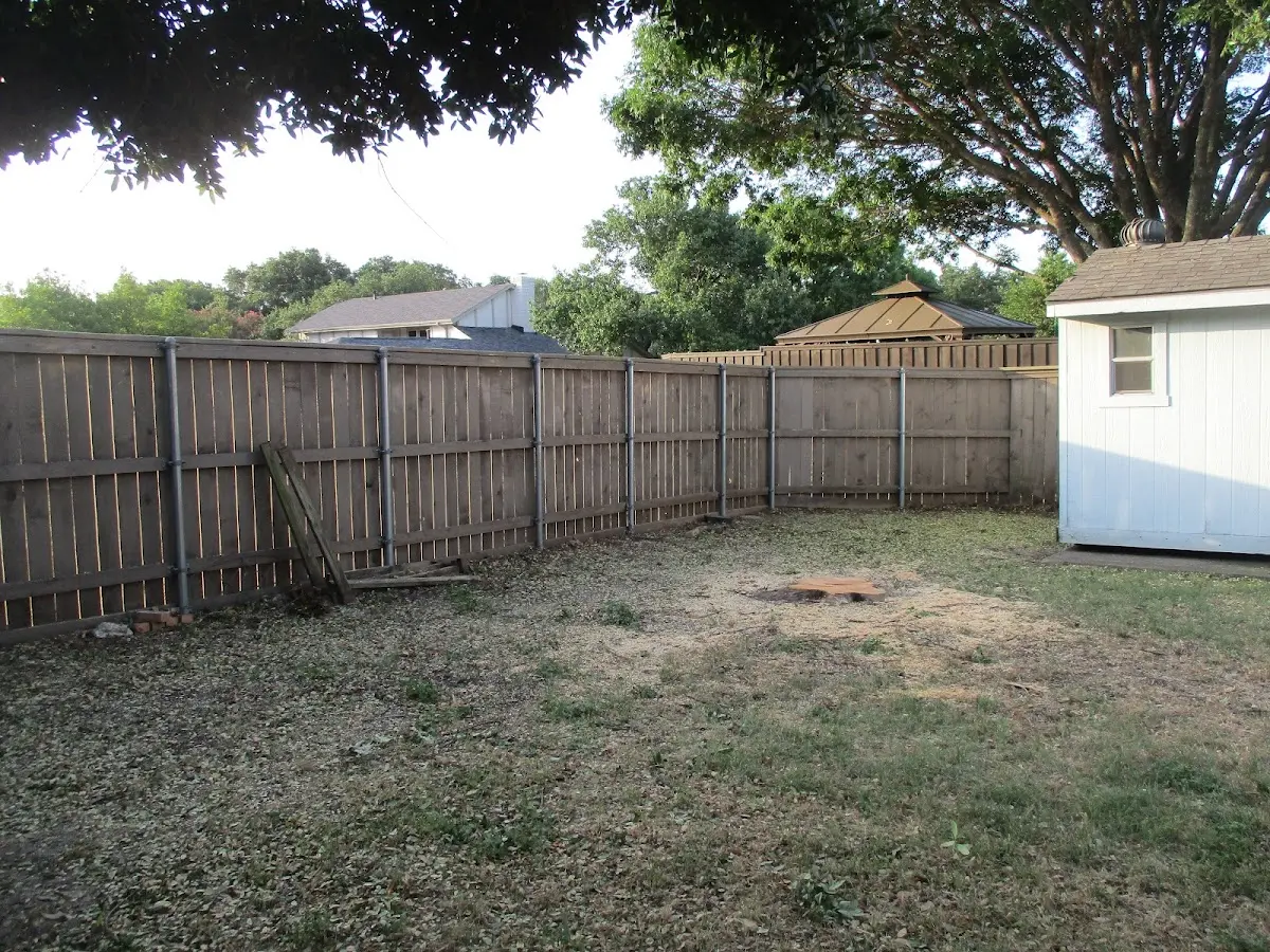 Cleared yard after professional tree removal in King